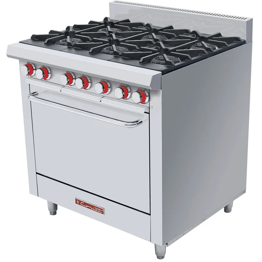 CORIAT ESTUFA EC-6-HG MASTER DE PISO *PROM
